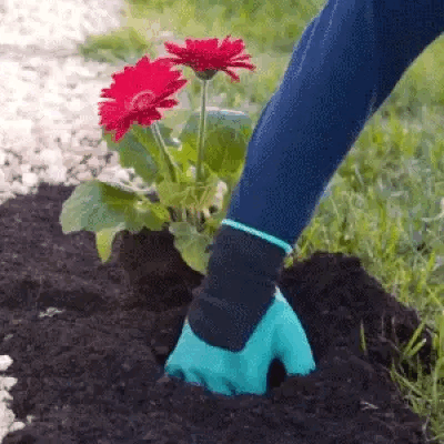 Baštenske RUKAVICE sa kandžama - Garden Genie