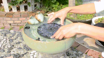 Baštenska fontana sa solarnim napajanjem